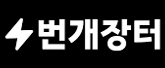 번개장터 주식회사 로고